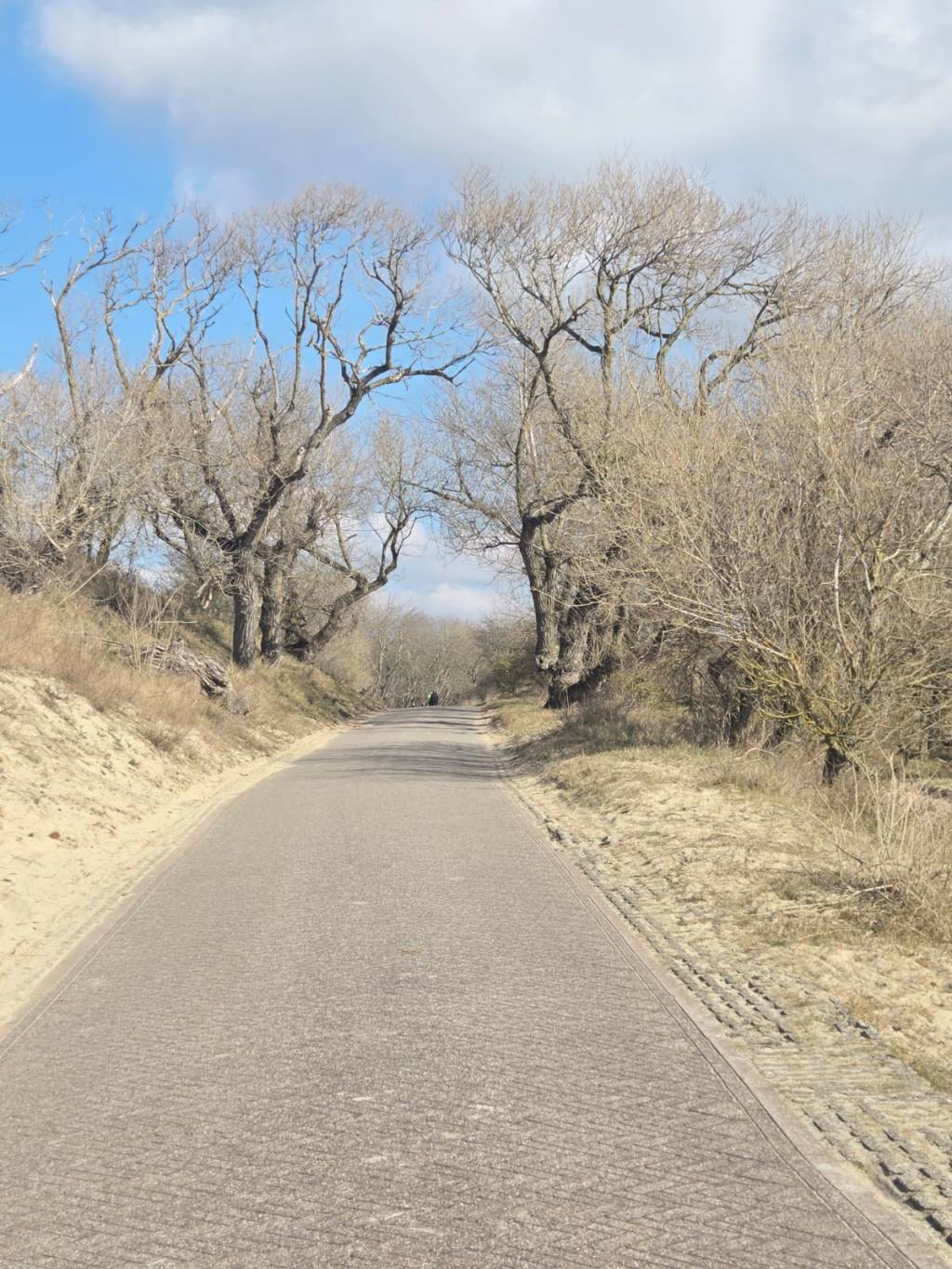 Overgang en CPTSS: Hoe hormonale veranderingen oude patronen kunnen&nbsp;versterken